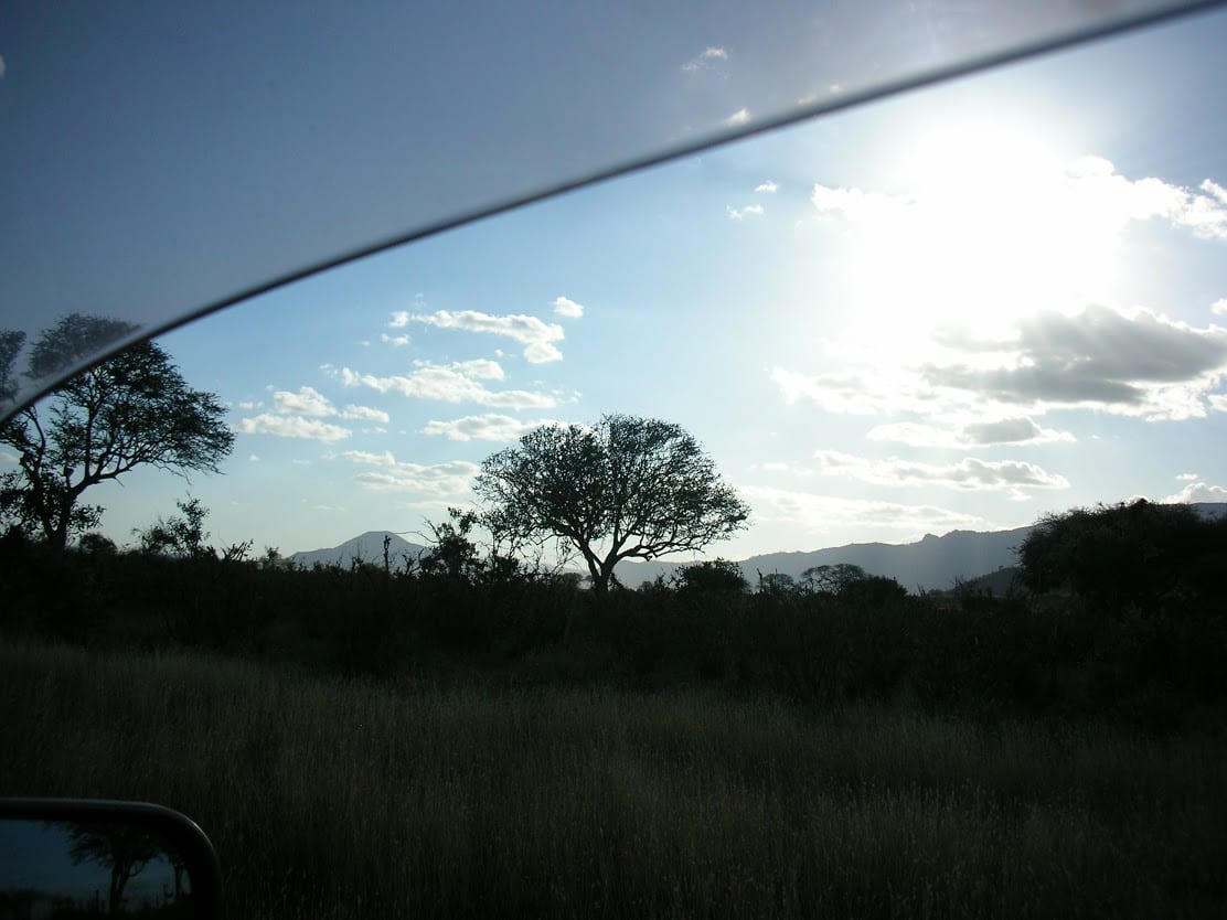 A photo of the sun shining through the clouds above trees and a field of grass.