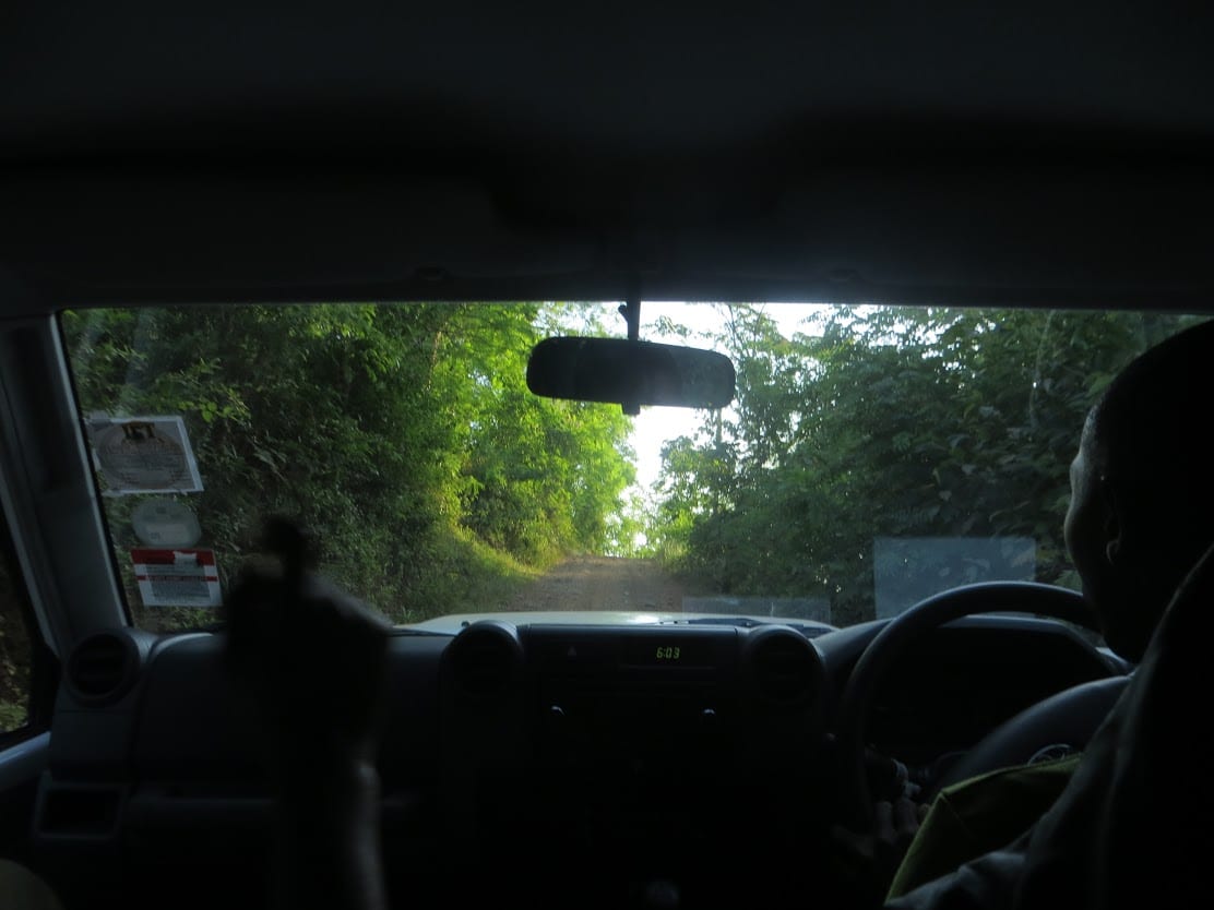 A photo taken from the back seat of a car looking out the front windshield.