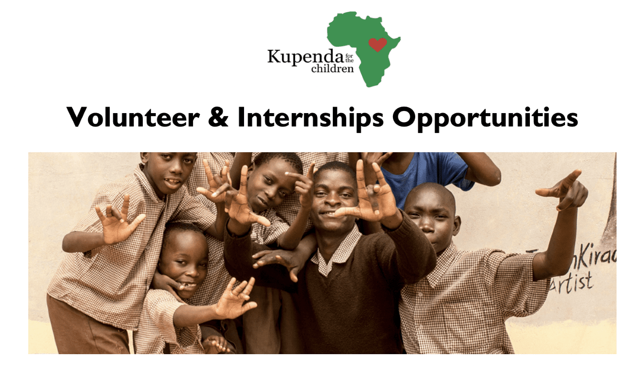 Volunteer and Internship Opportunities